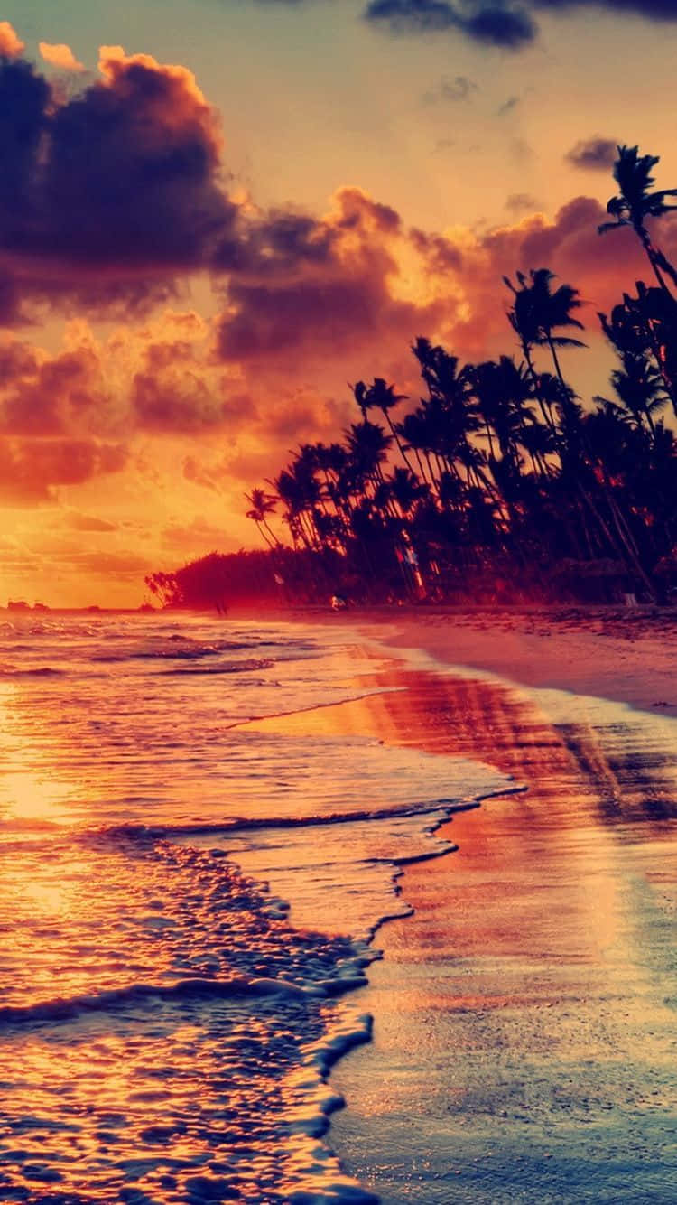 "Soft sunsets and calming waves at Sunset Beach." Wallpaper