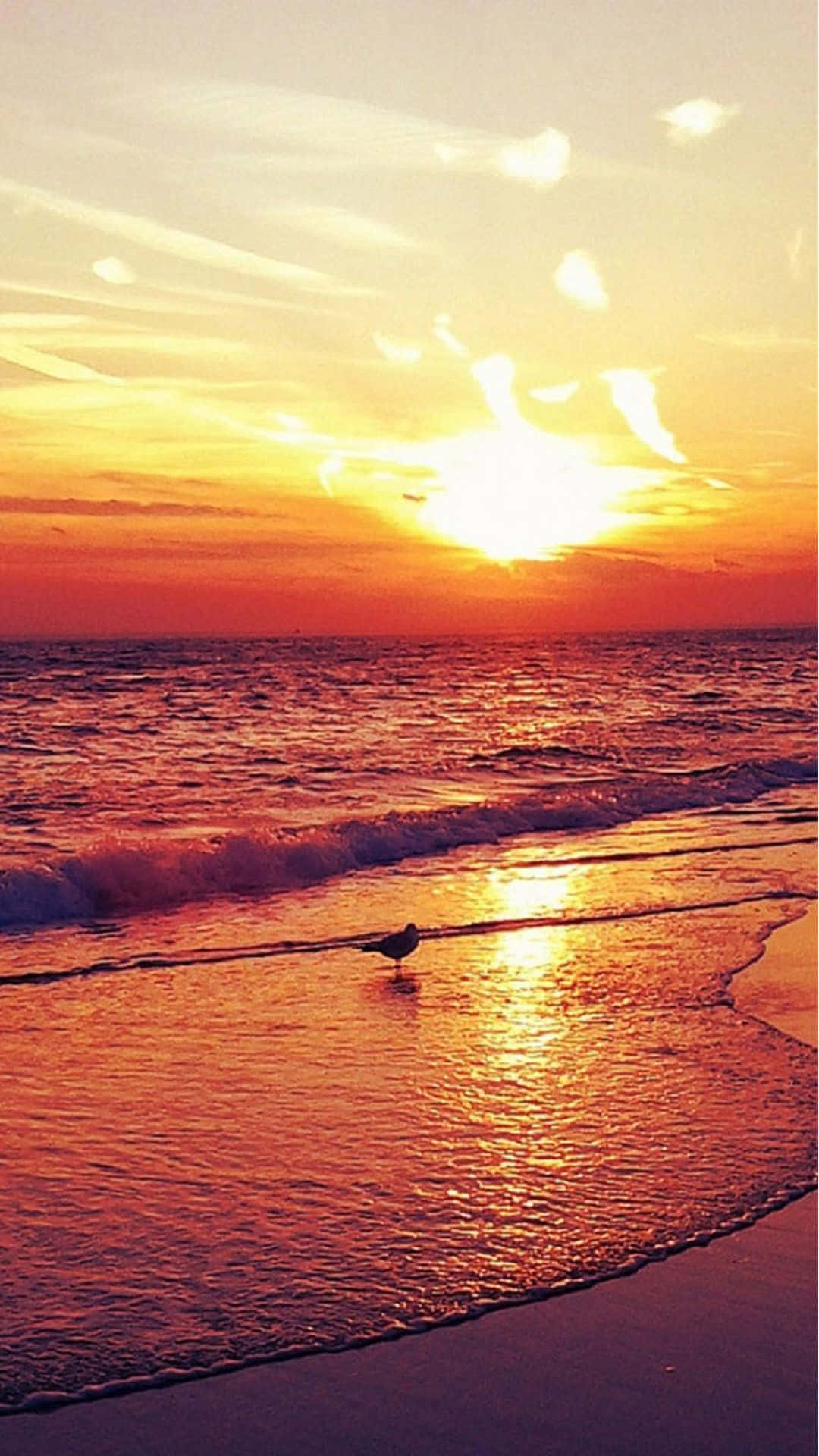 Genießeeinen Atemberaubenden Sonnenuntergang Am Strand Mit Deinem Iphone. Wallpaper