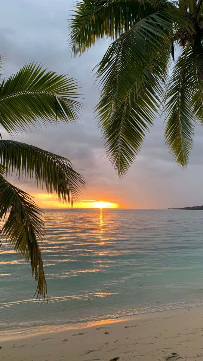 Solnedgångsstrand Tropisk Vibe Bild