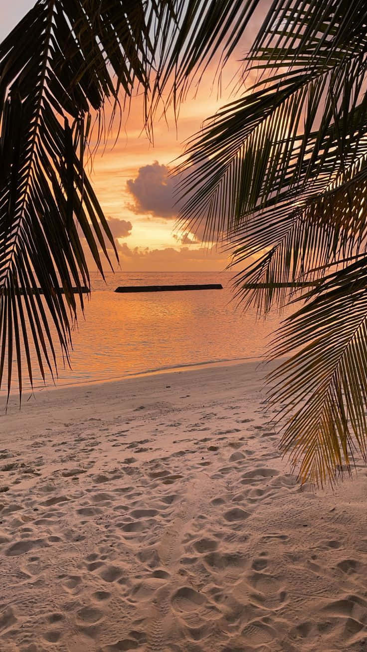 Ästhetischesbild Eines Tropischen Sonnenuntergangs Am Strand