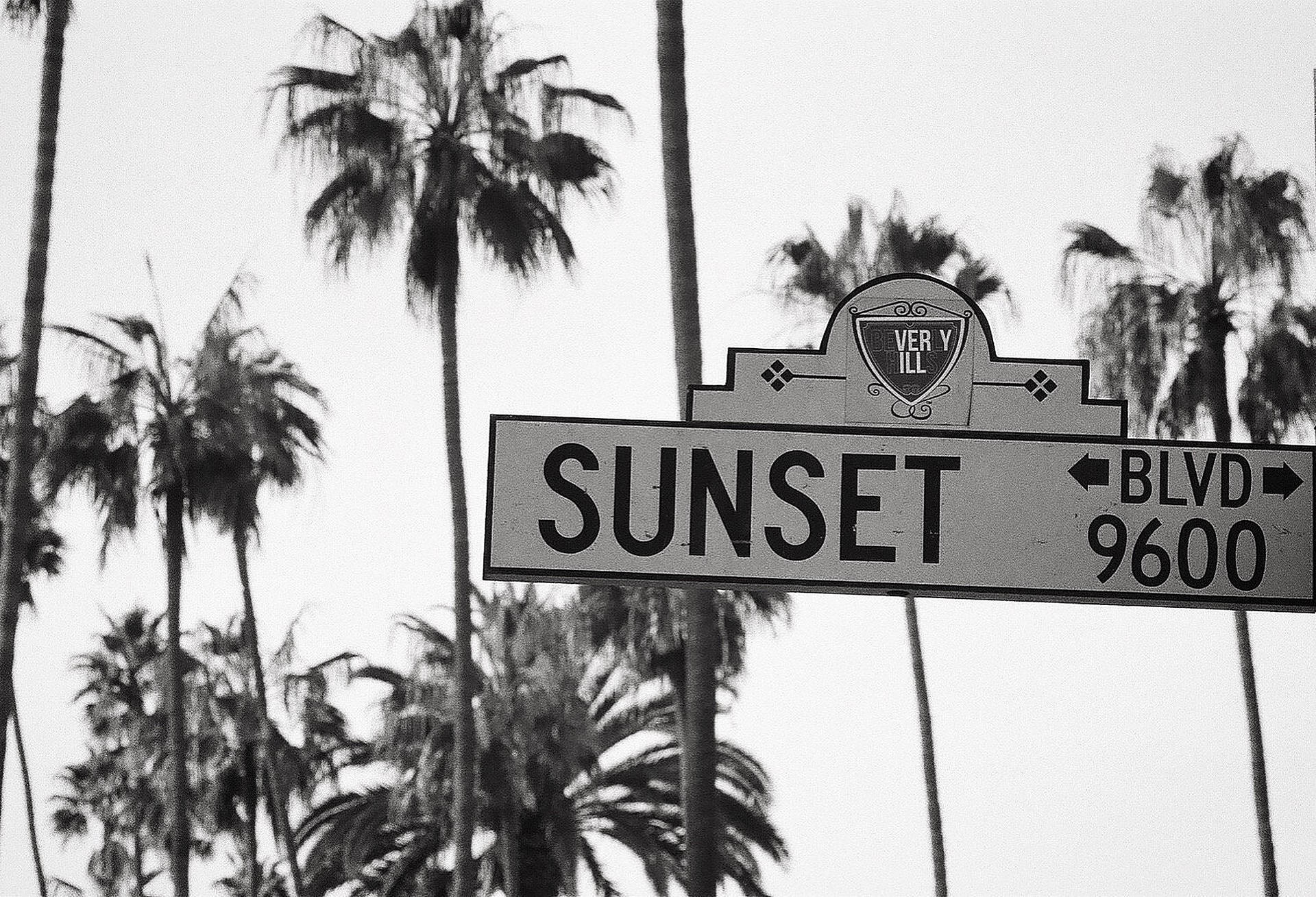 Sunset Boulevard Black And White Wallpaper