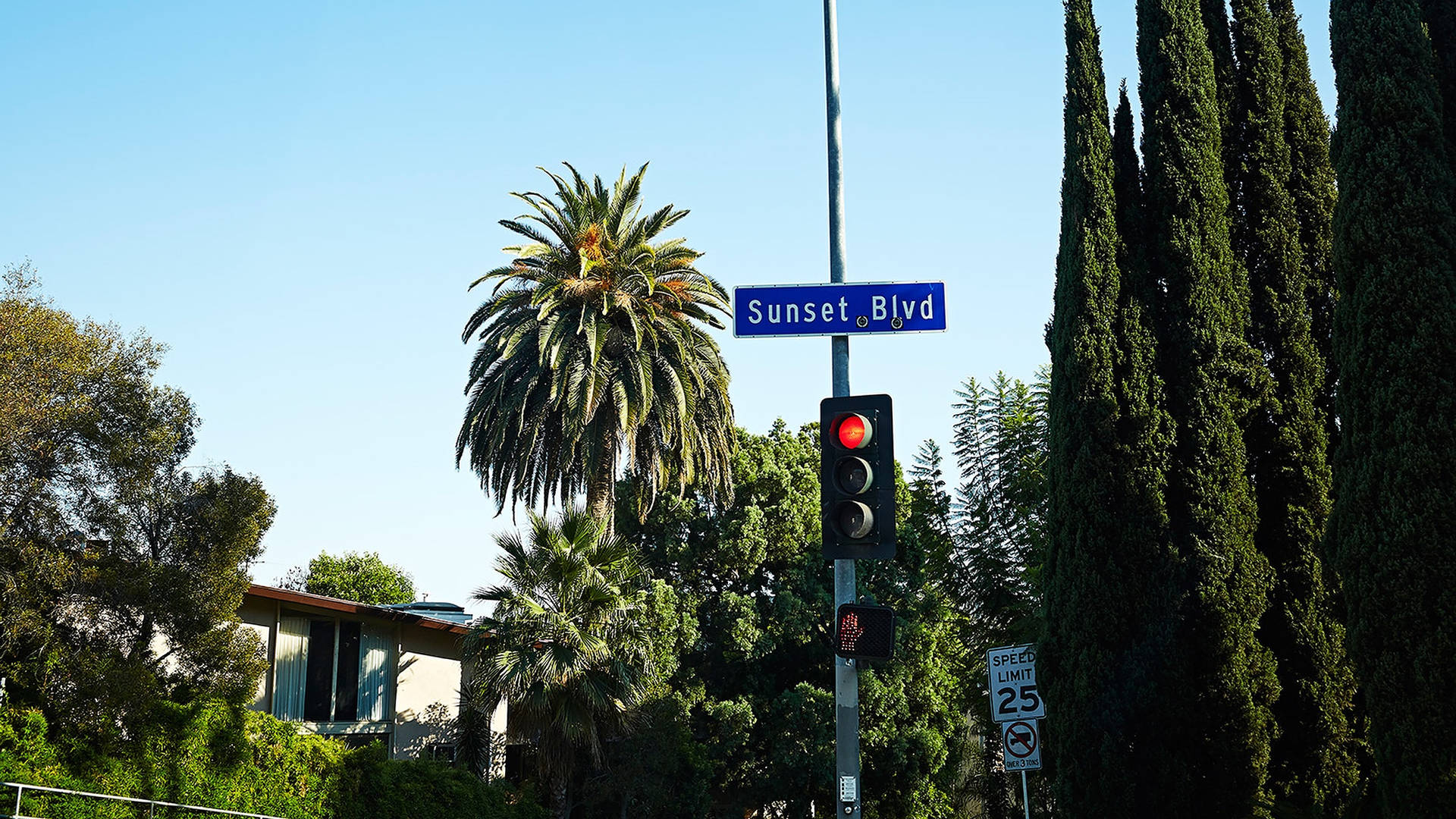 Sunset Boulevard Blue Signage Wallpaper