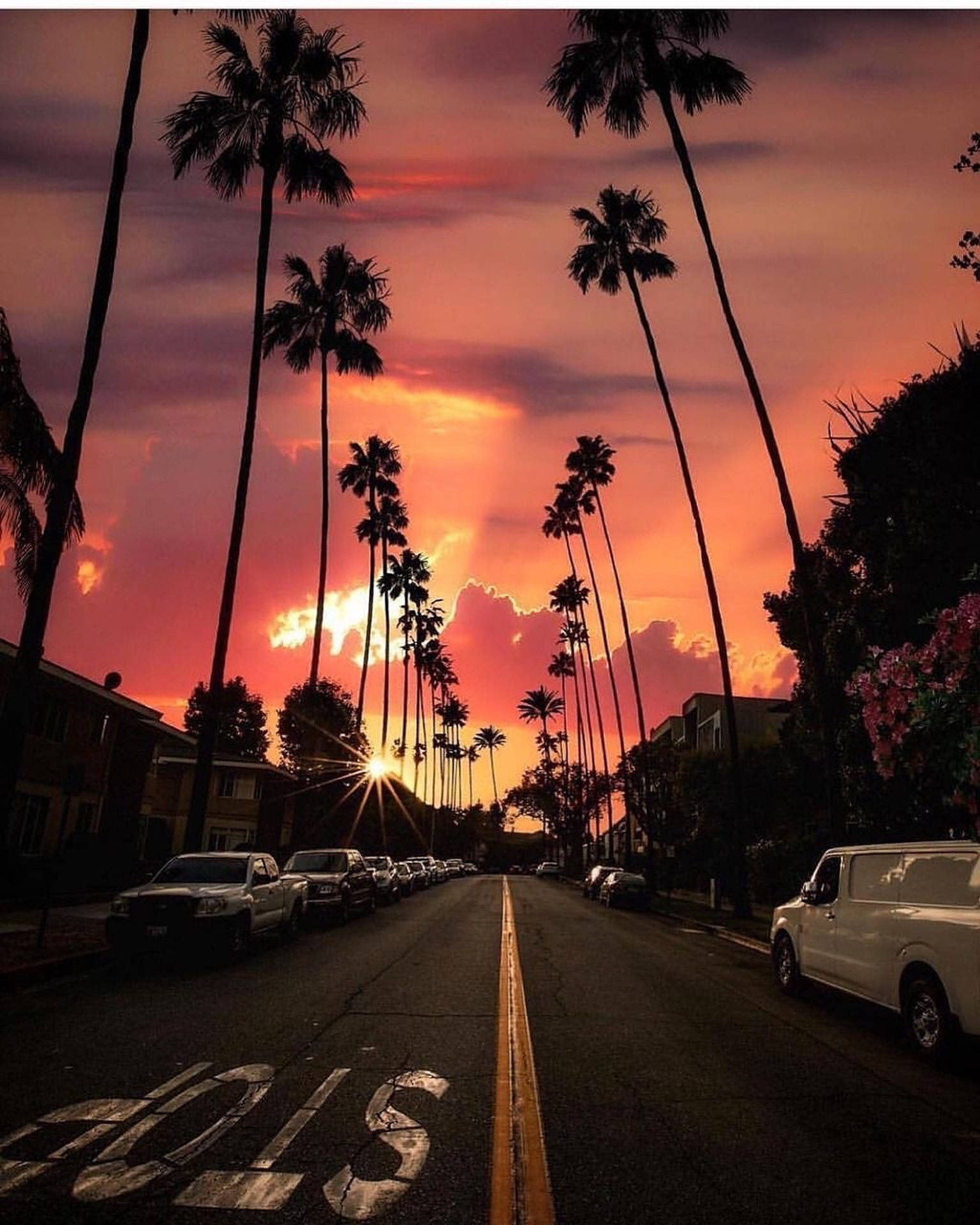 Solnedgångenpå Sunset Boulevard Med En Ljusorange Himmel. Wallpaper