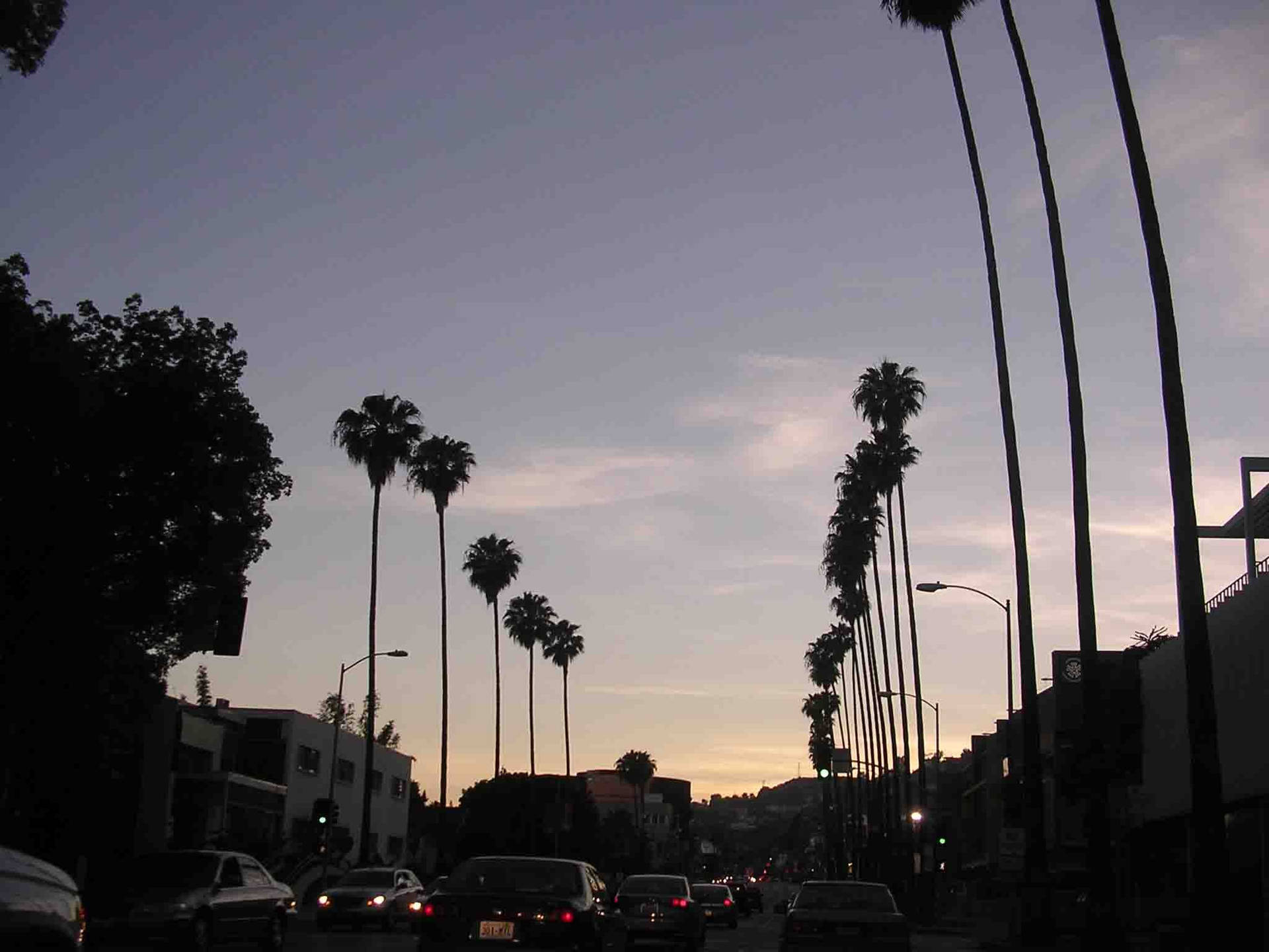 Download Sunset Boulevard Light Purple Sky Wallpaper | Wallpapers.com