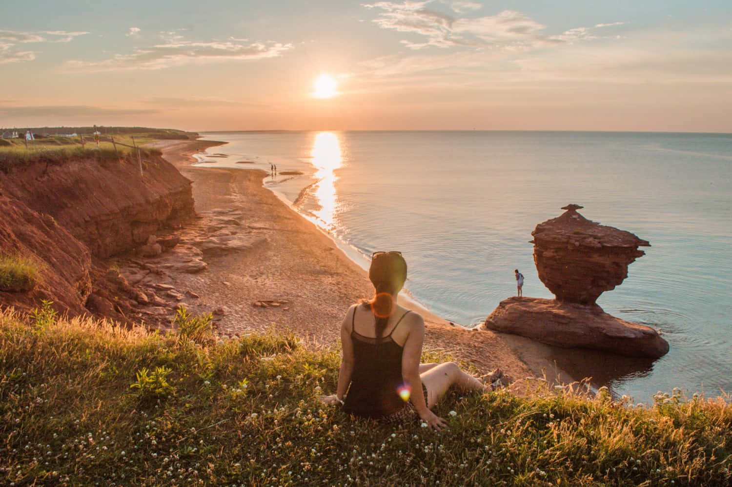 Sunset Cliffside Contemplation Charlottetown Wallpaper