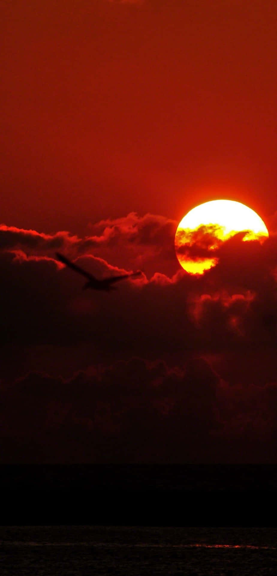 Sunset Clouds Ocean Bird.jpg Wallpaper