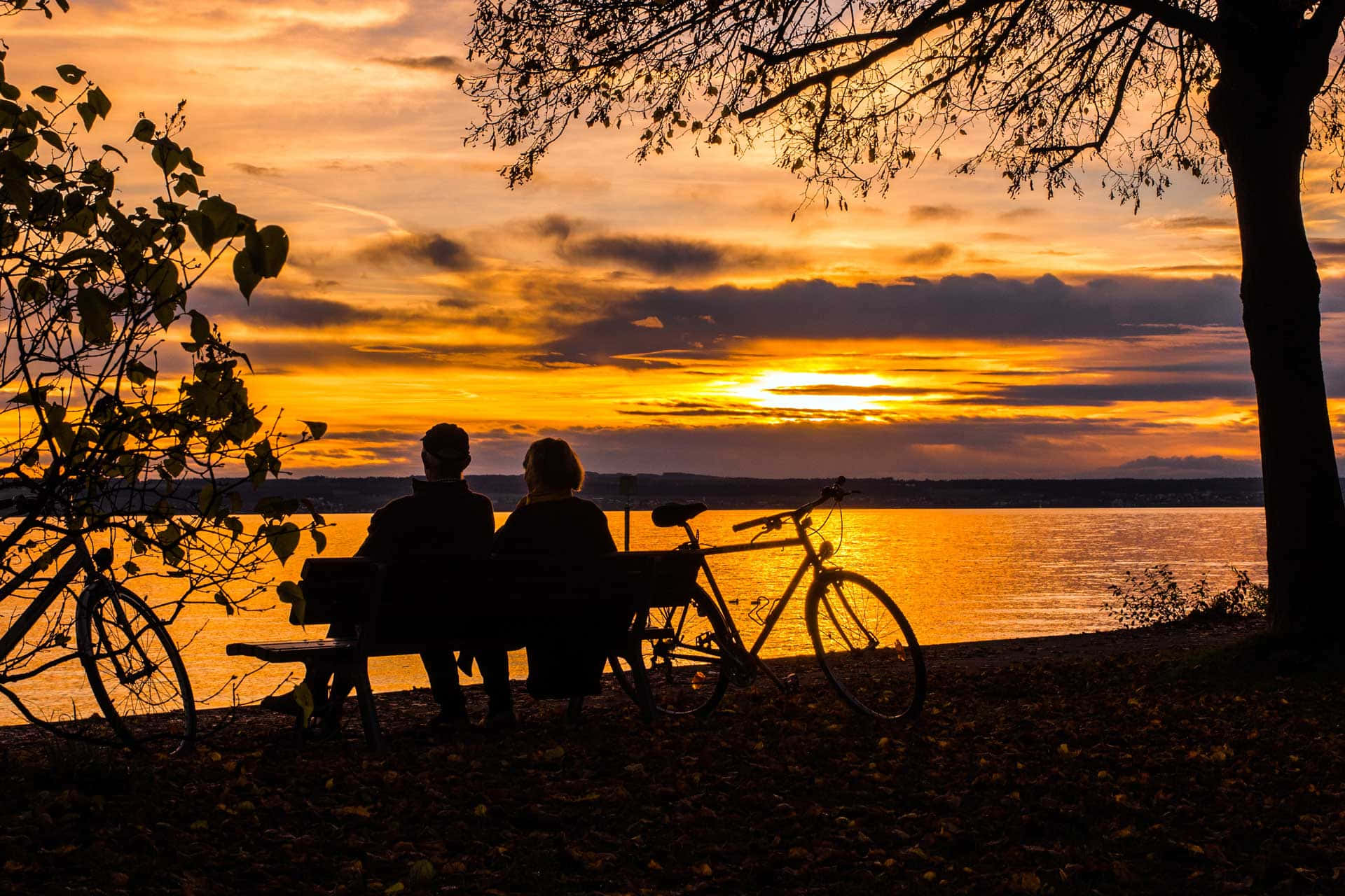 Sunset Couple Picture Bench Field Vision