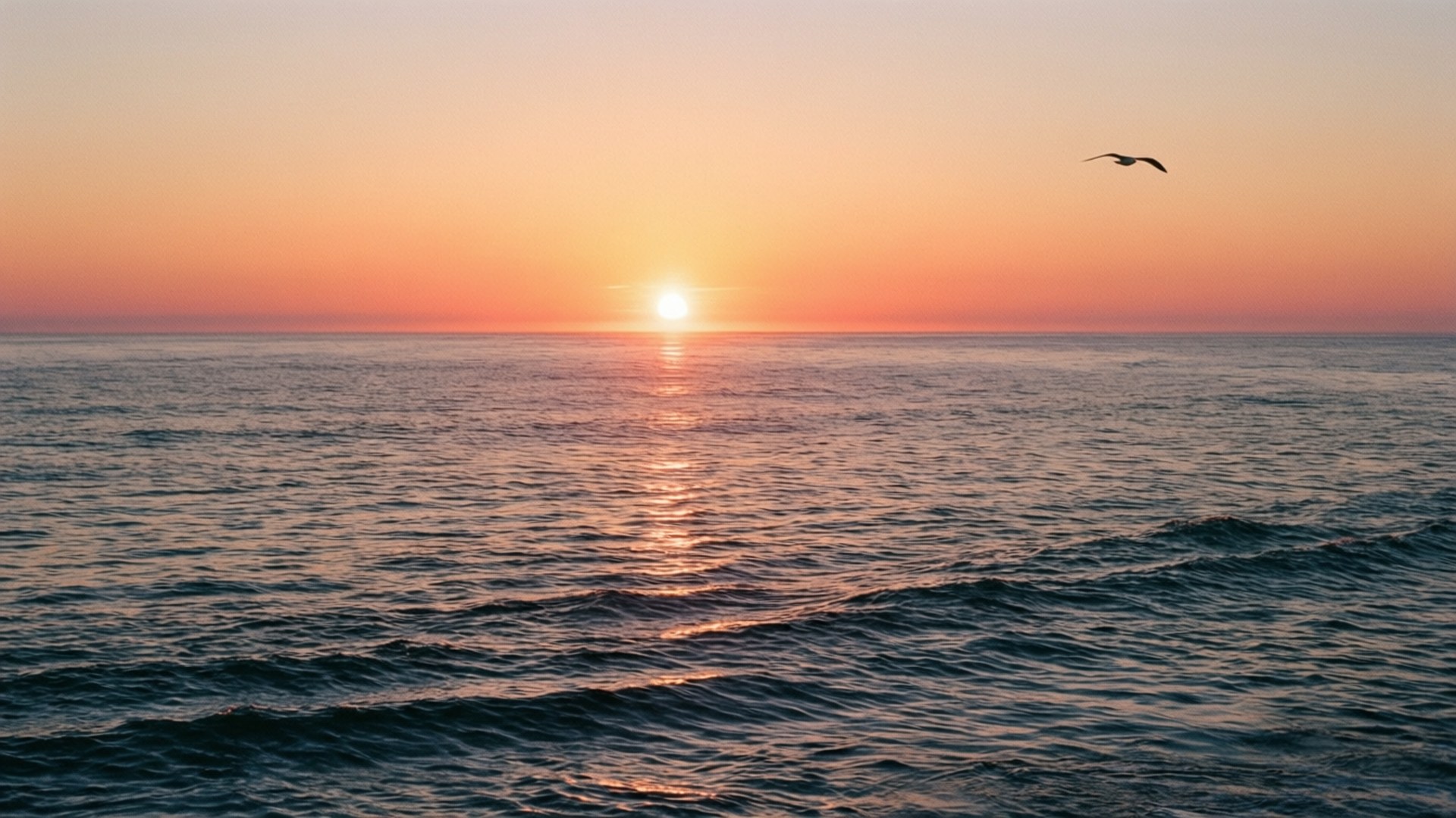 Tramonto sull'orizzonte dell'oceano Sfondi