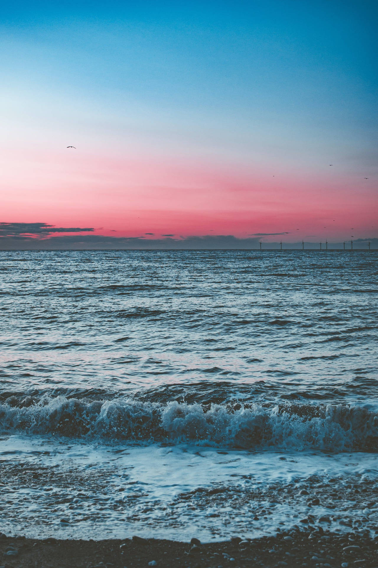 Solnedgang Ocean Pink Blå Himmel Wallpaper