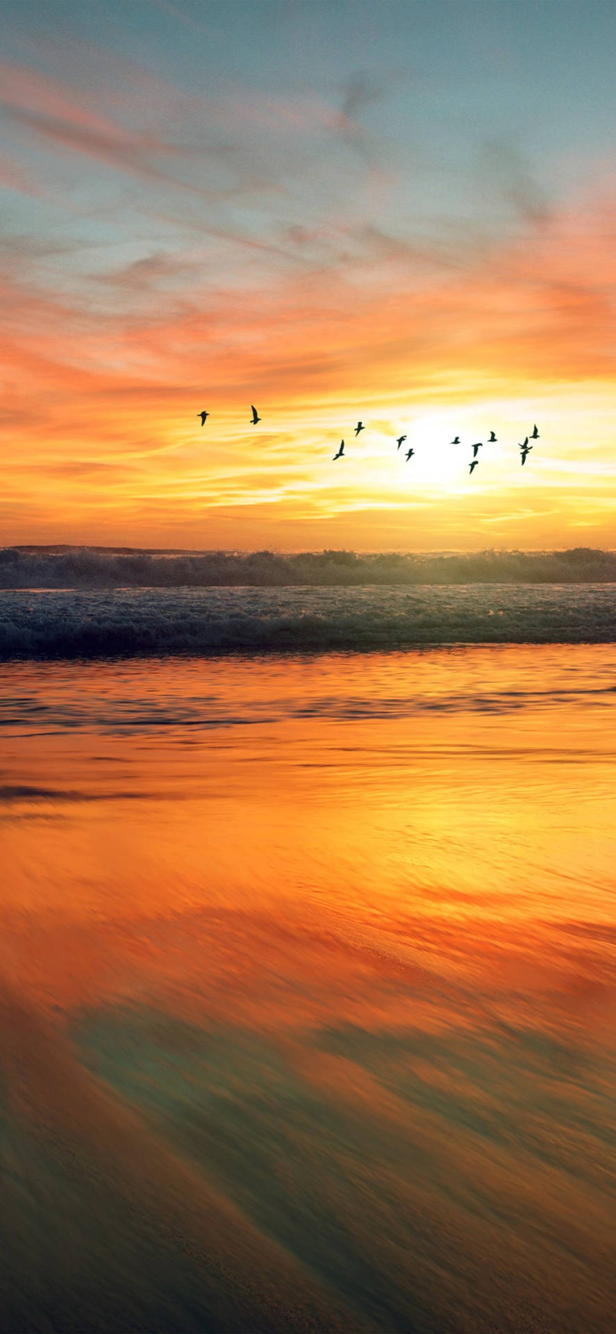 Sonnenuntergangmit Vögeln Über Dem Ozean Wallpaper