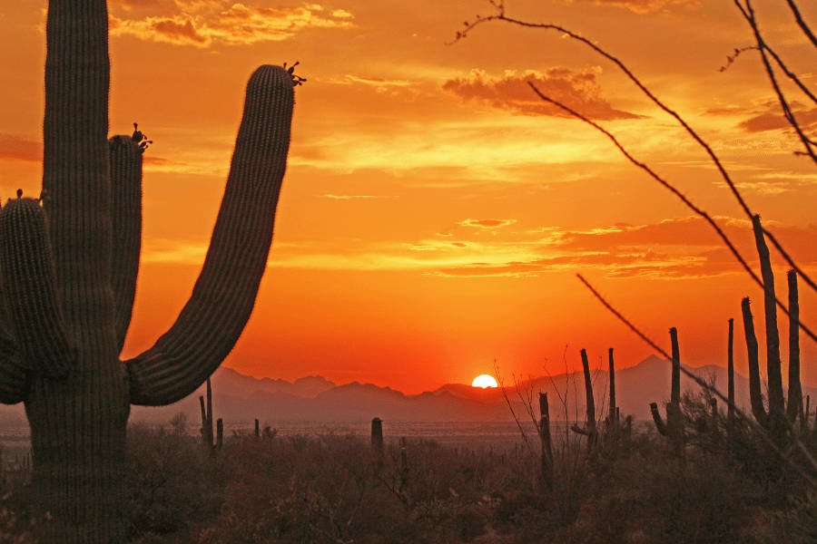 Sunset On Tucson Desert Wallpaper