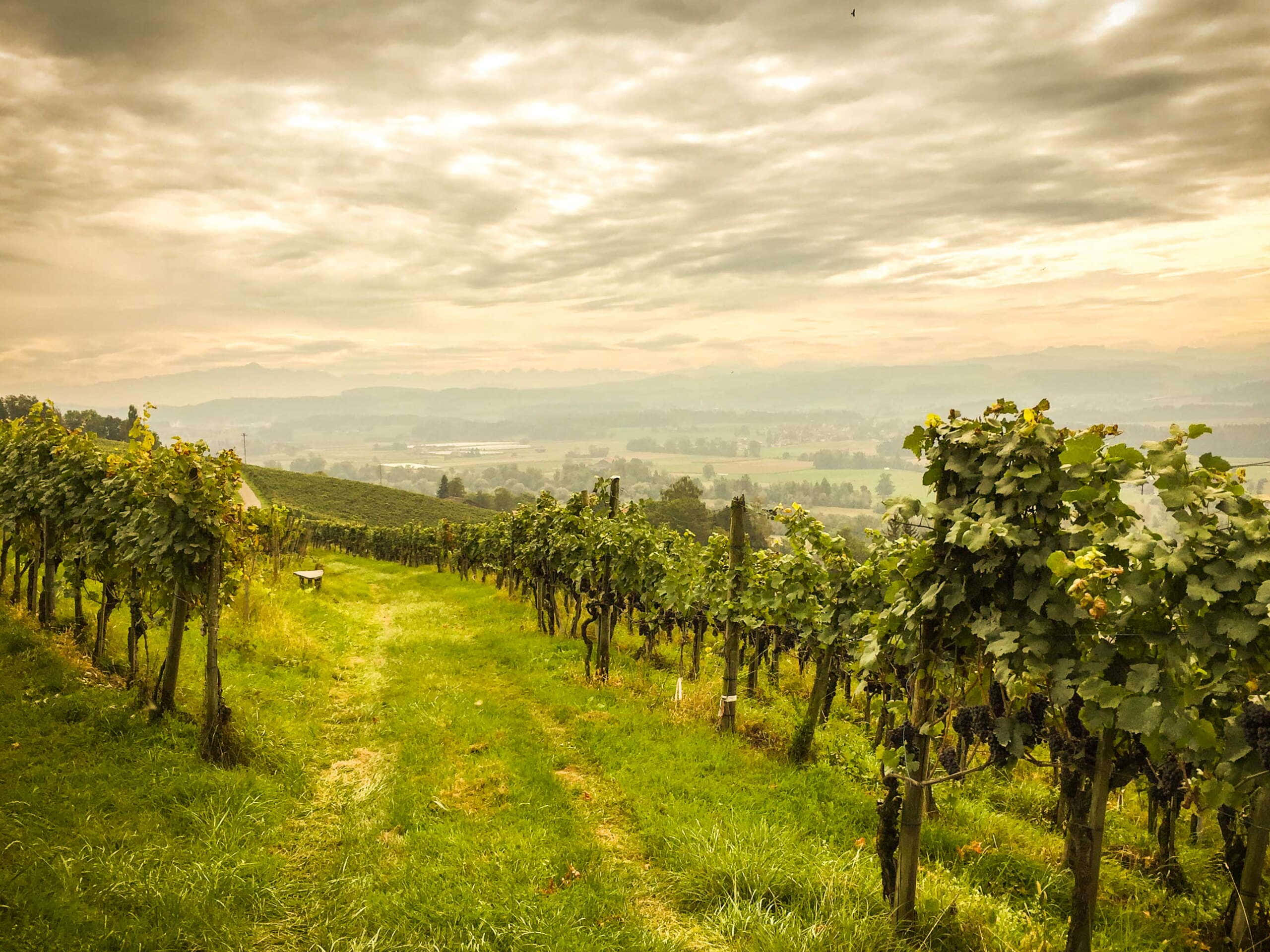 Sunset Over Frauenfeld, Switzerland Wallpaper