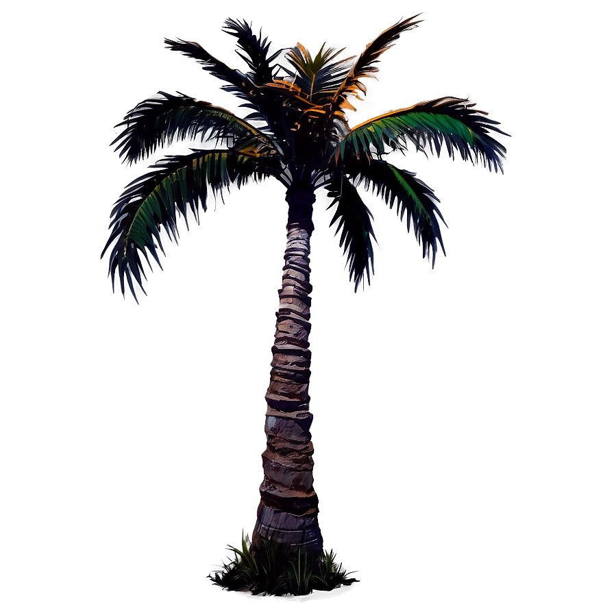 Sunset Palm Tree Png 94 PNG