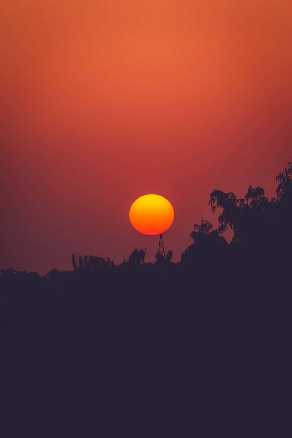 Captivating Sunset Photography Wallpaper