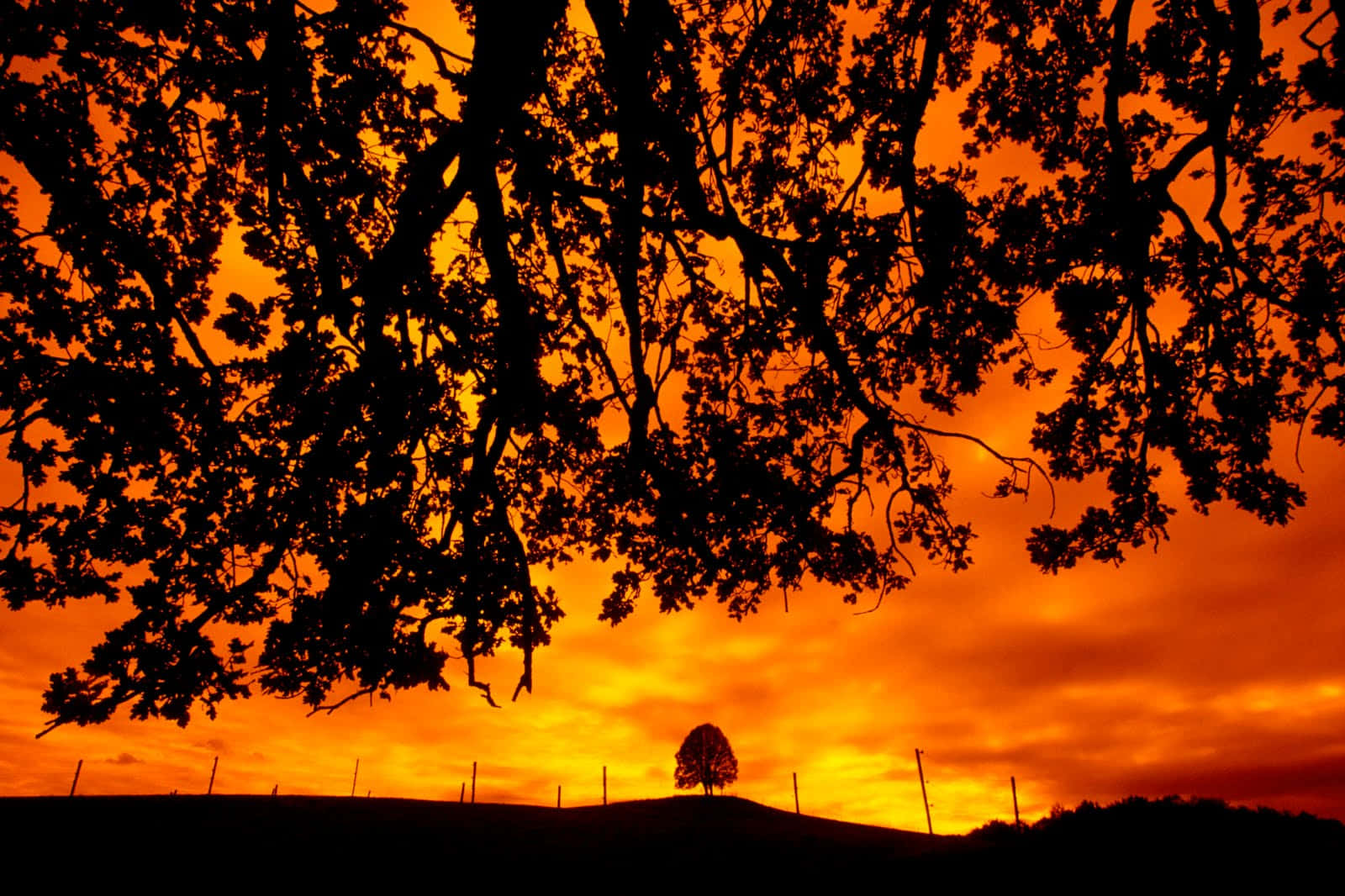 Genießensie Die Schönheit Eines Fesselnden Sonnenuntergangs In Oregon.