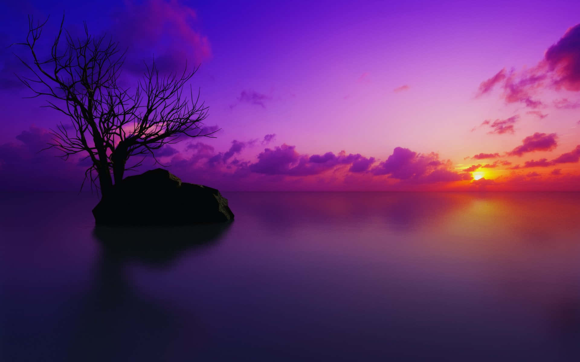 Sunset Reflection on Tranquil Waters Wallpaper