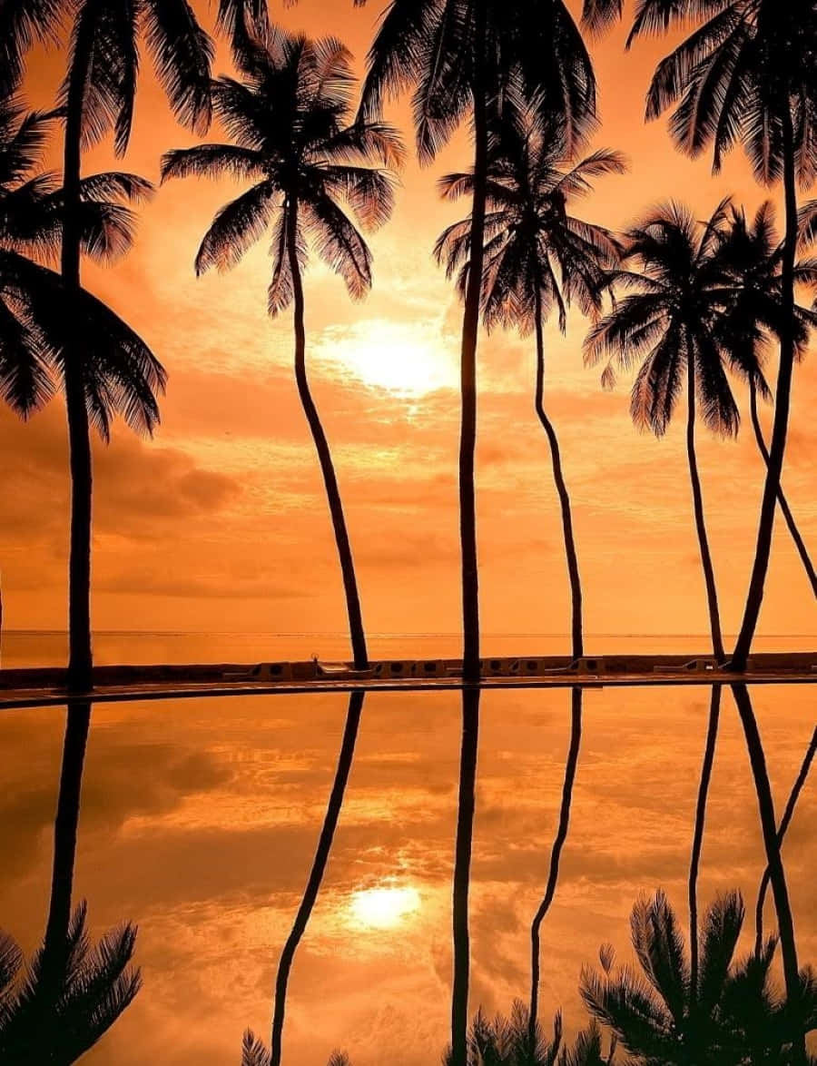 A Stunning Sunset Reflection Wallpaper
