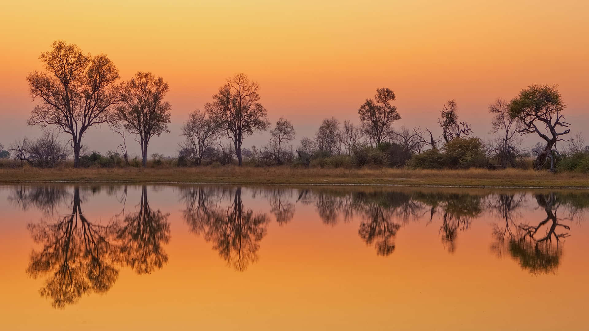 Reflexodo Pôr Do Sol No Delta Do Okavango. Papel de Parede