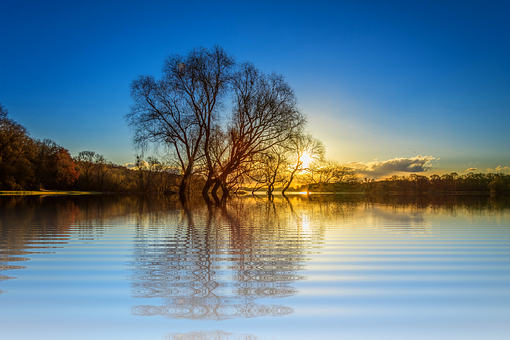 Sunset Reflections Lake Tree PNG