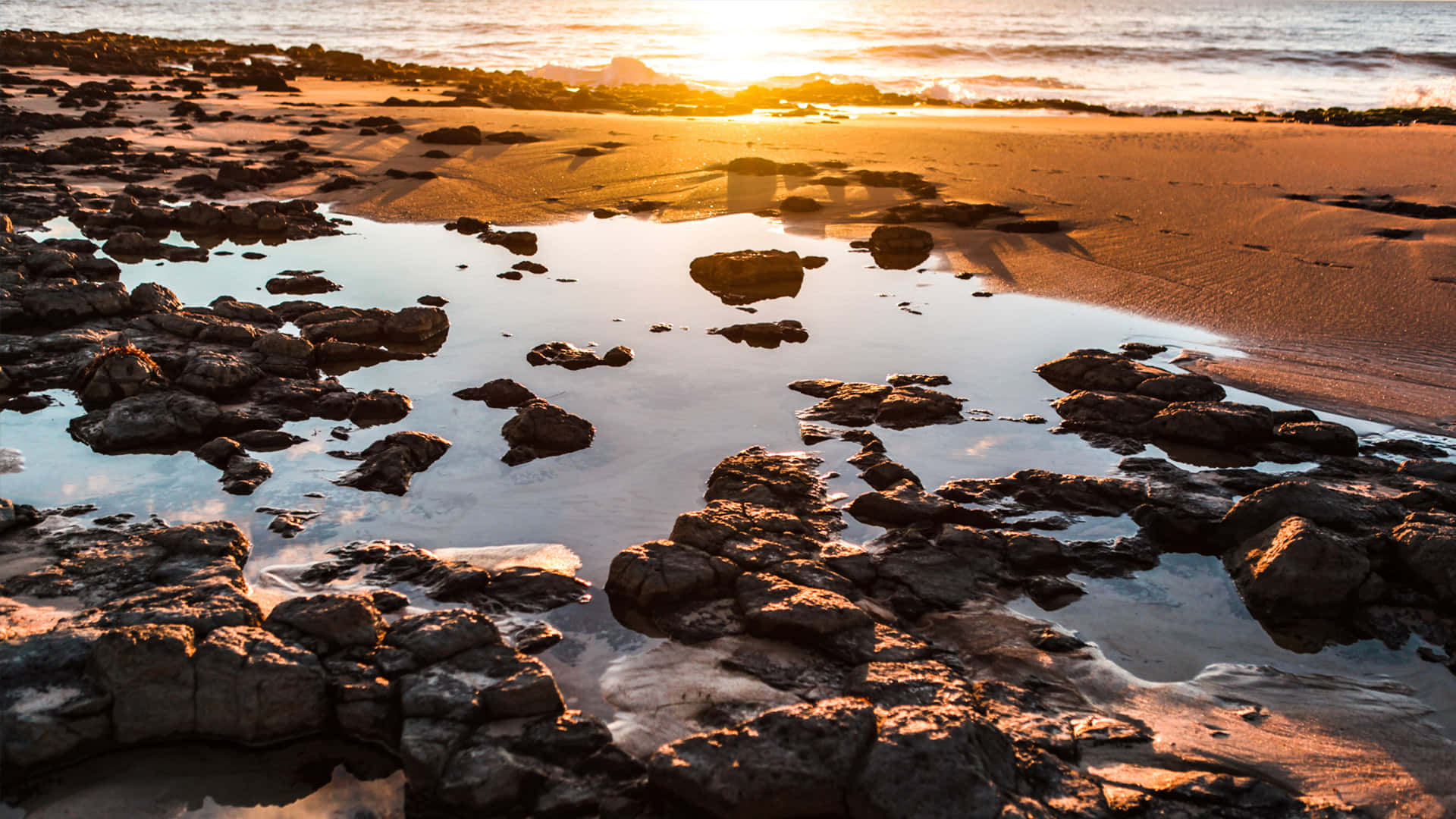 Sunset Reflectionson Rocky Beach Wallpaper