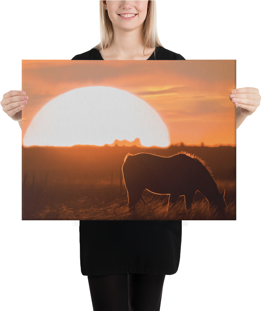 Sunset Silhouette Artwork PNG