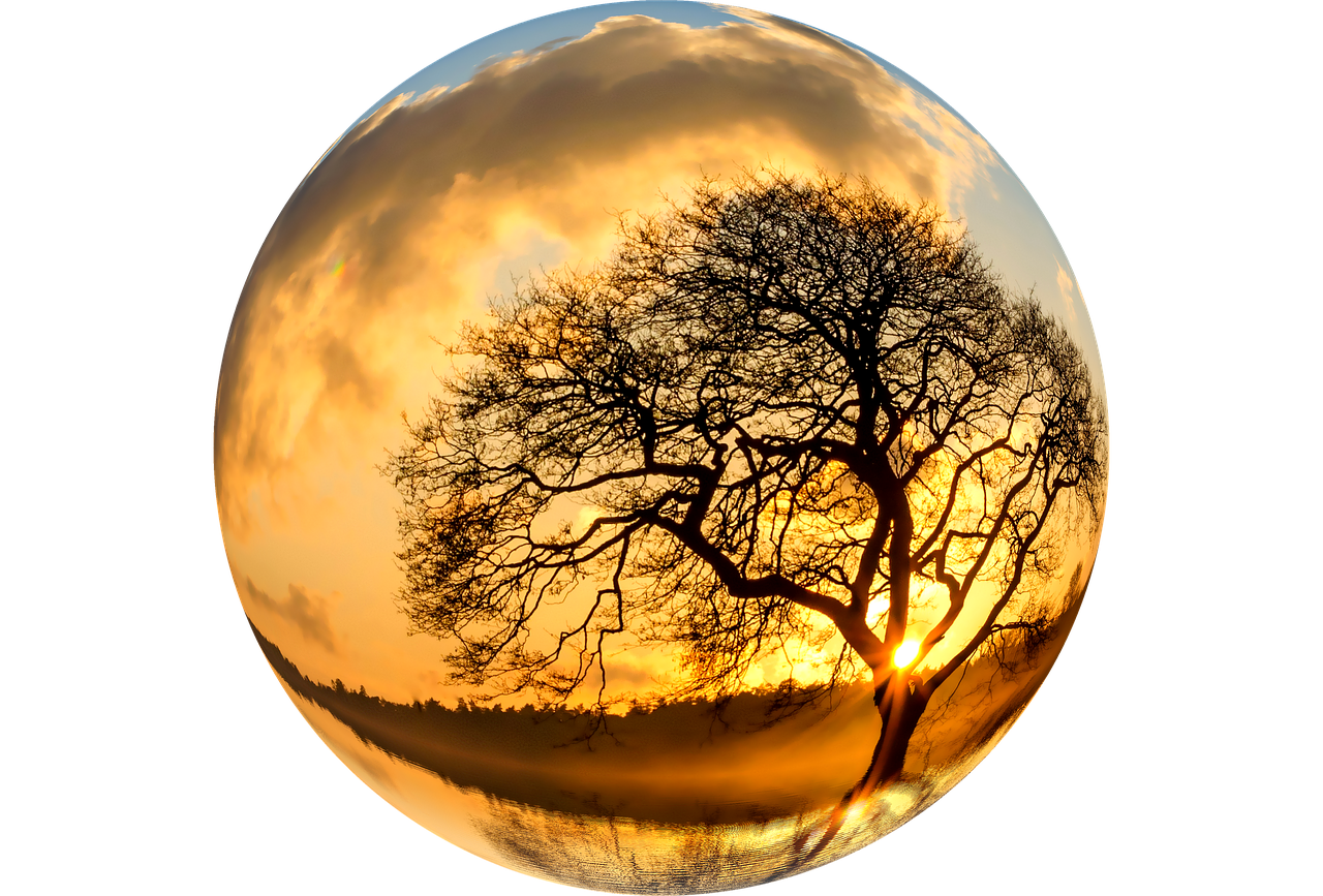 Sunset Silhouette Tree Crystal Ball PNG