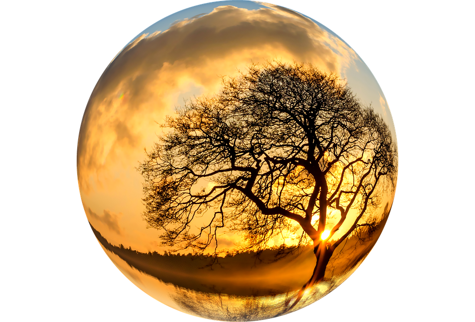 Sunset Silhouette Tree Sphere PNG