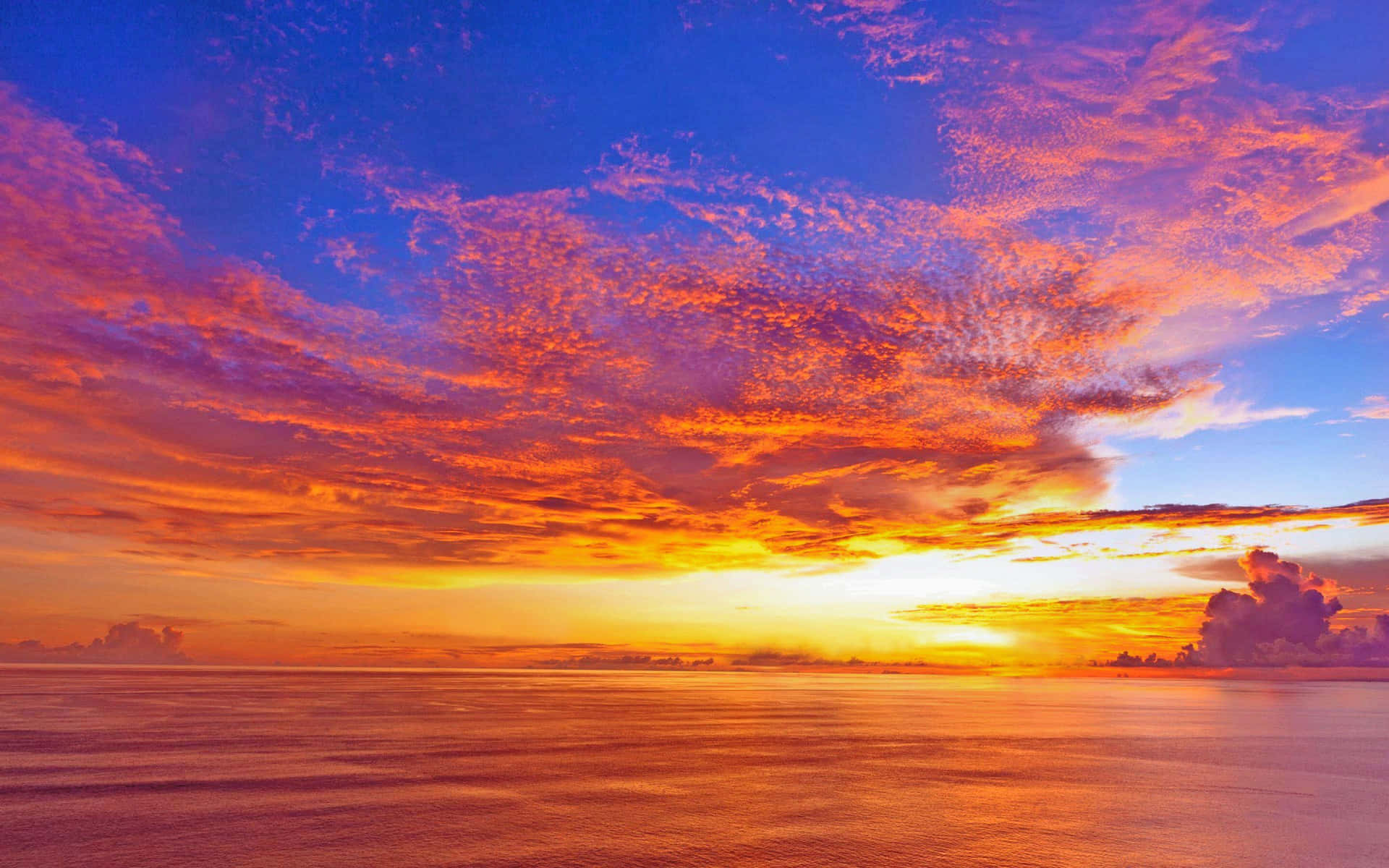 Enfarverig Solnedgang Over Havet.