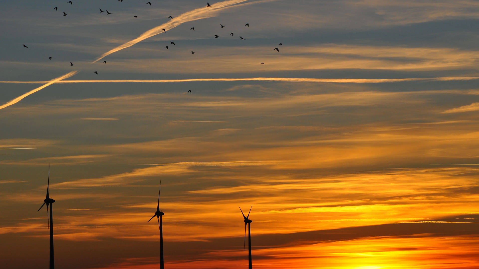 Sunset Sky Birds And Windmills 4k Flat Wallpaper