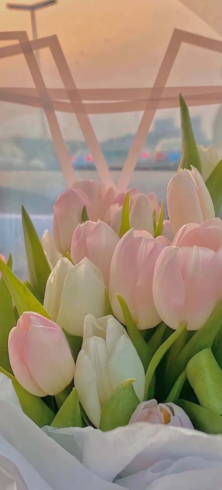Sunset Tinted Tulips Aesthetic Wallpaper