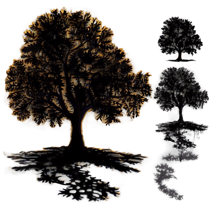 Sunset Tree Shadow Png 06272024 PNG