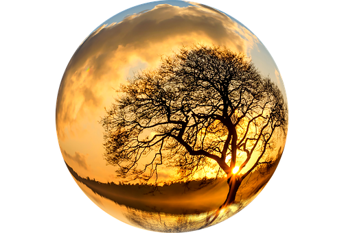 Sunset Tree Silhouette Crystal Ball PNG