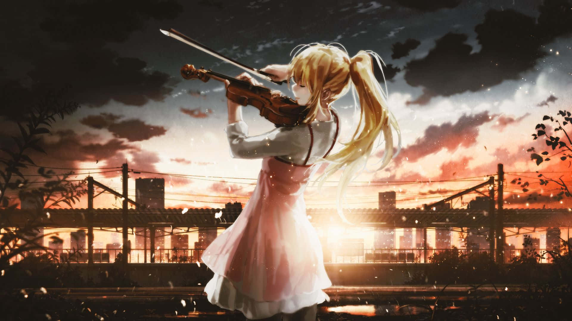 Performance De Violon Au Coucher De Soleil Anime Fond d'écran