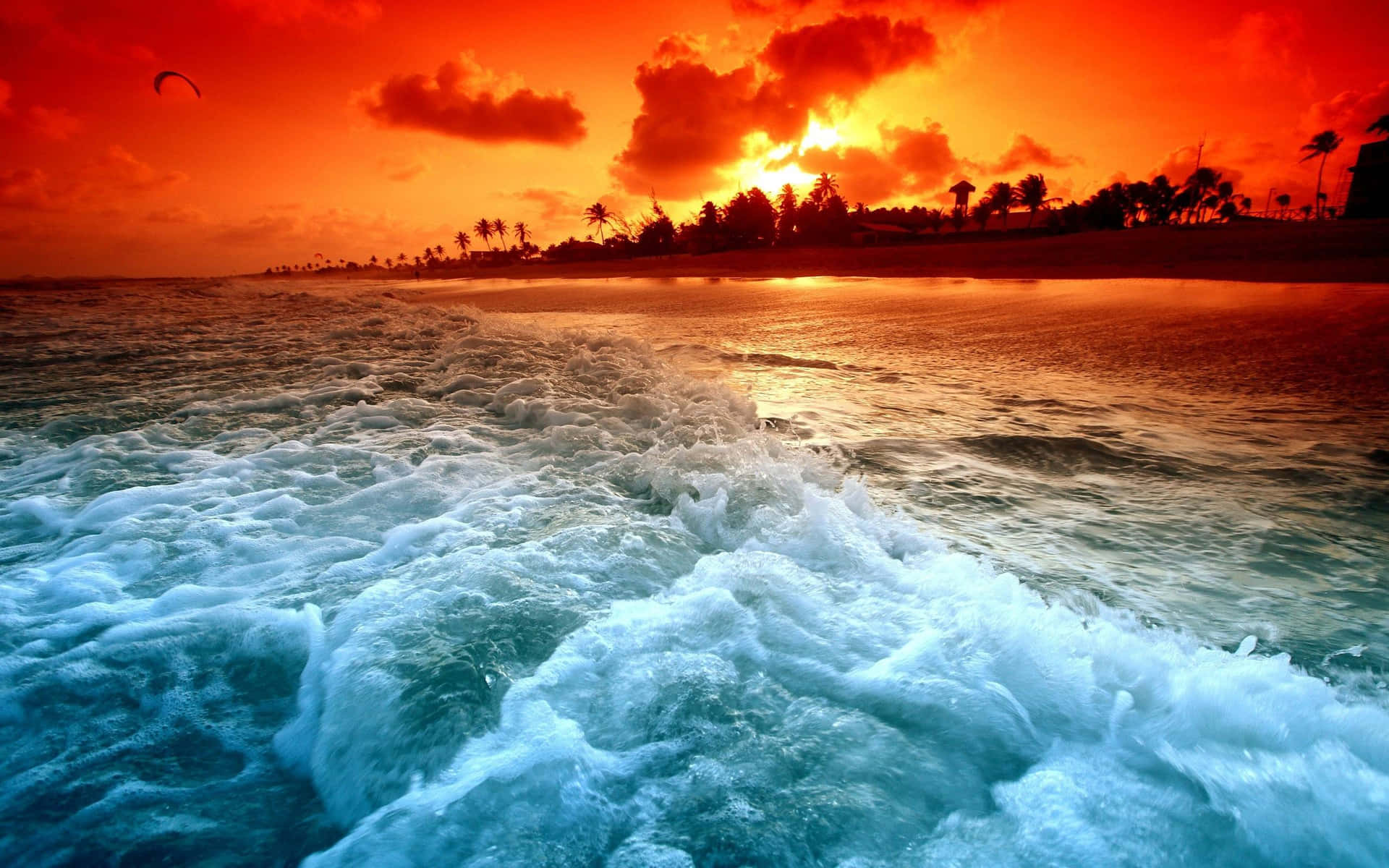 "Admiring the beauty of a shining sunset wave" Wallpaper