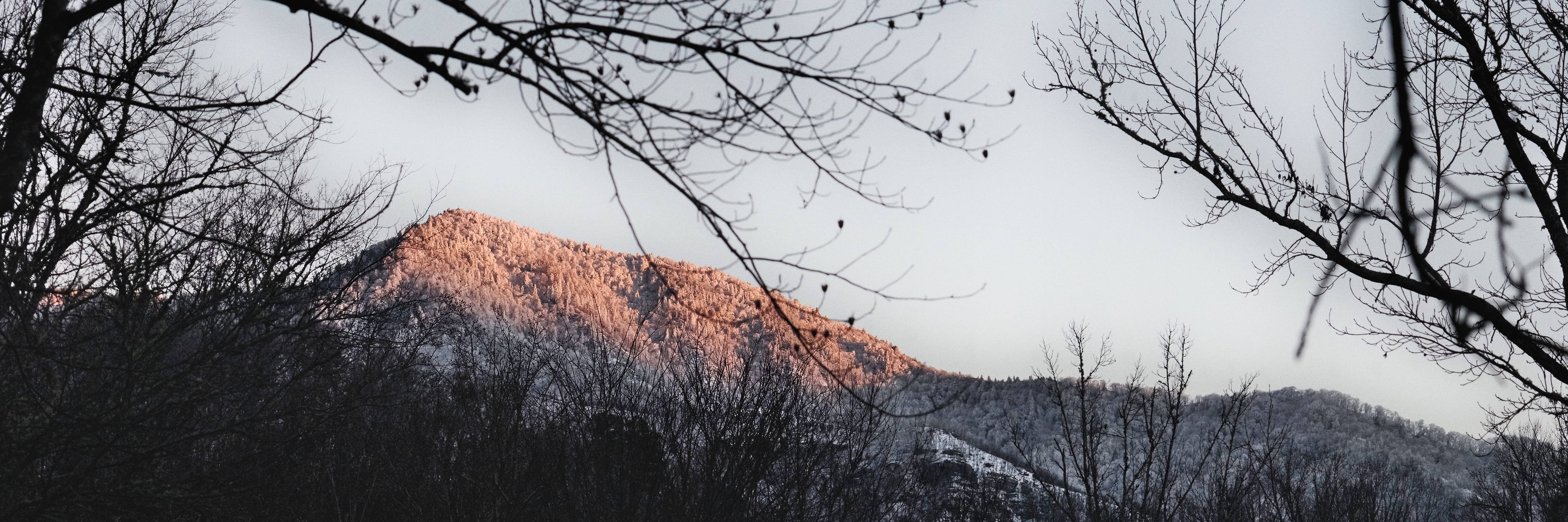 Sonnenuntergangmit Bäumen In Den Smoky Mountains Wallpaper