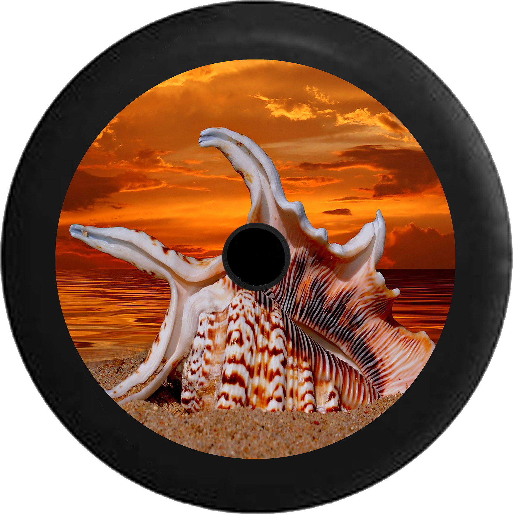 Sunset_ Shell_ Viewpoint PNG