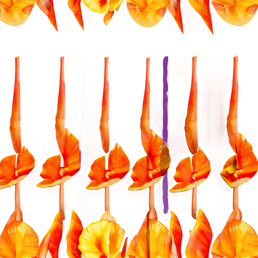 Sunshine Orange Petal Png Mdc55 PNG