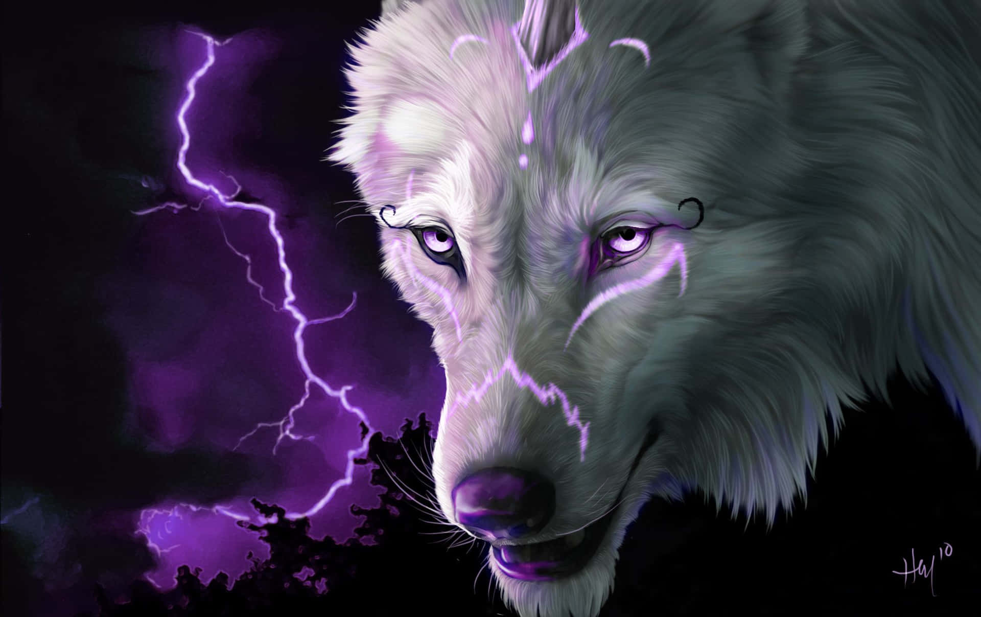 Dive Into The Wild And Explore The Mysteriousness Behind The Super Cool Wolf! Wallpaper
