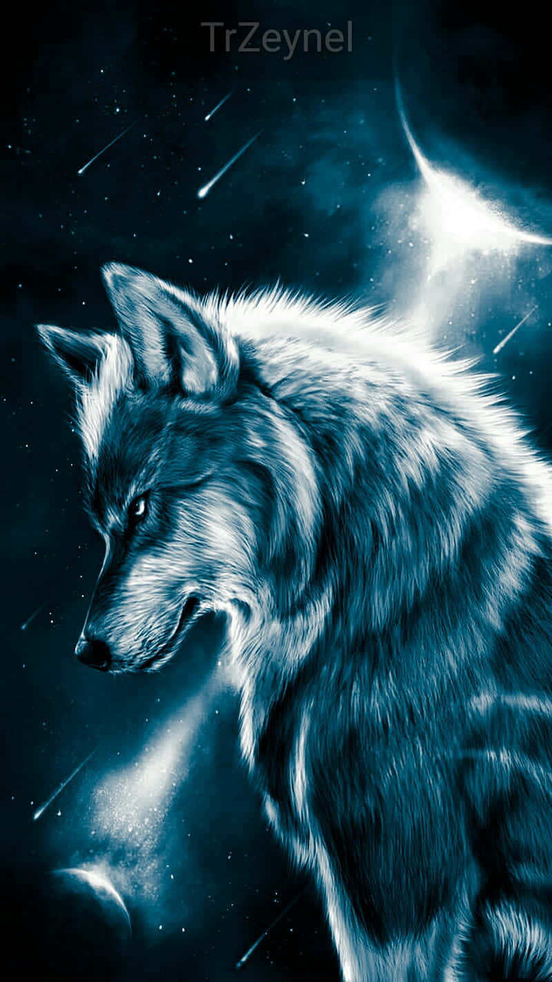 En super cool ulv kigger ud i natten. Wallpaper