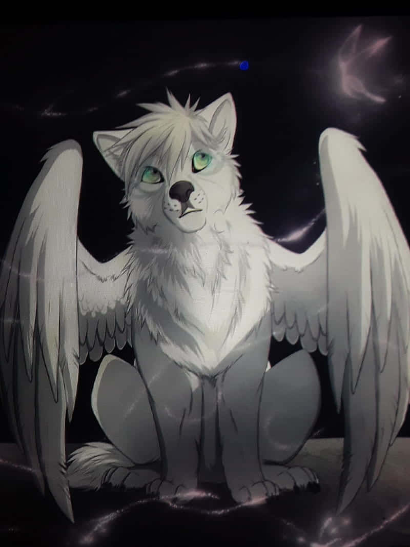 Super Cool Wolf With Wings Wallpaper