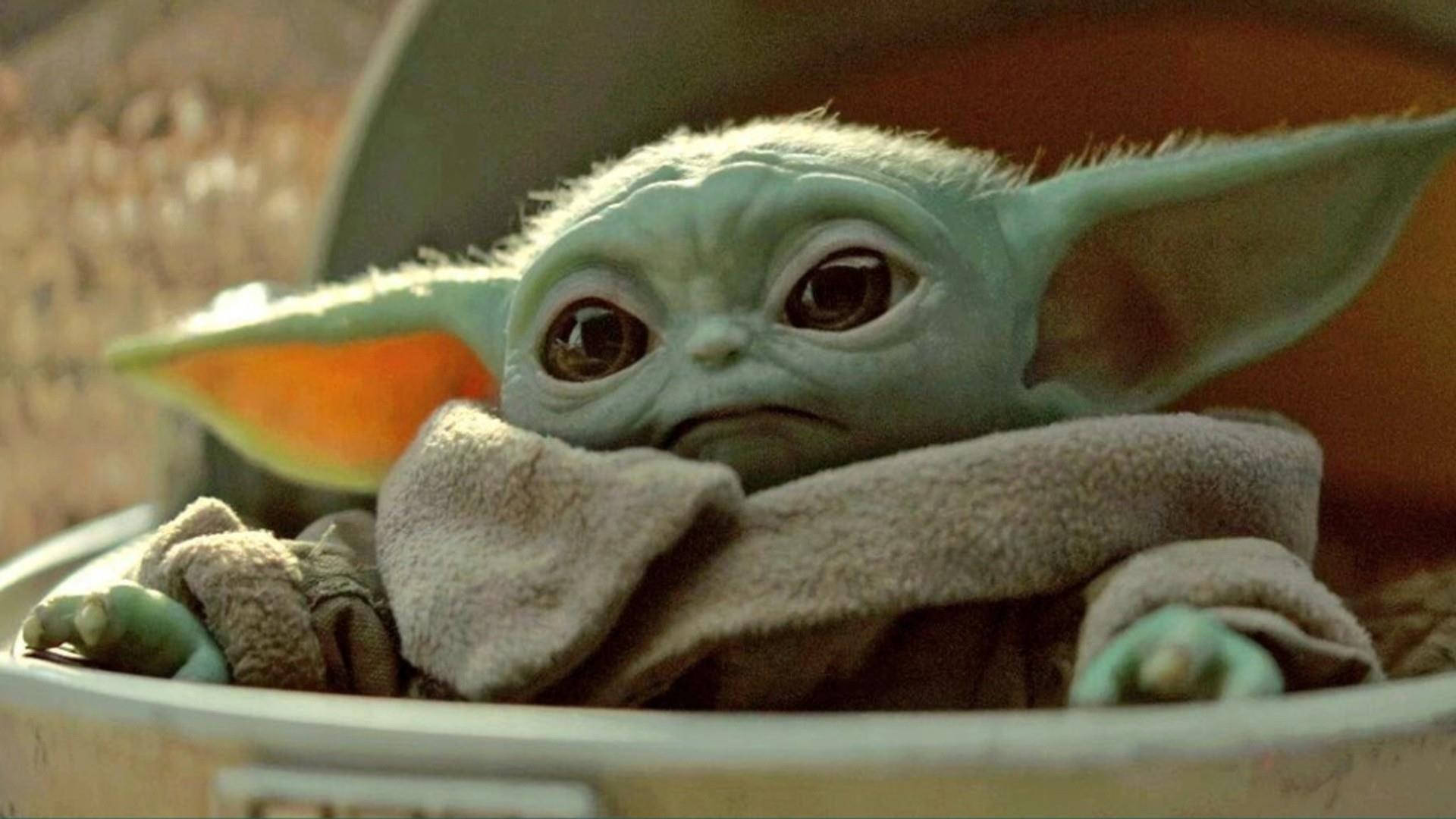 Awww, Who Could Resist a Baby Yoda? Wallpaper