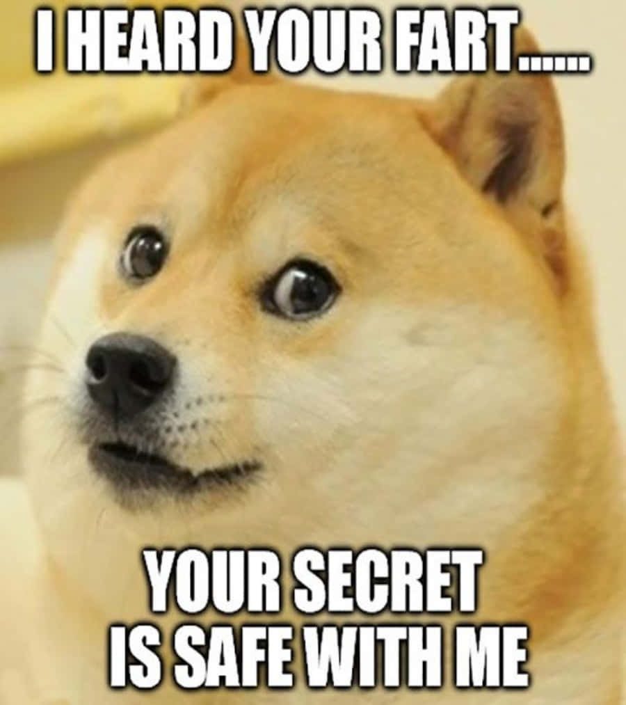 Super Funny Doge Meme Picture