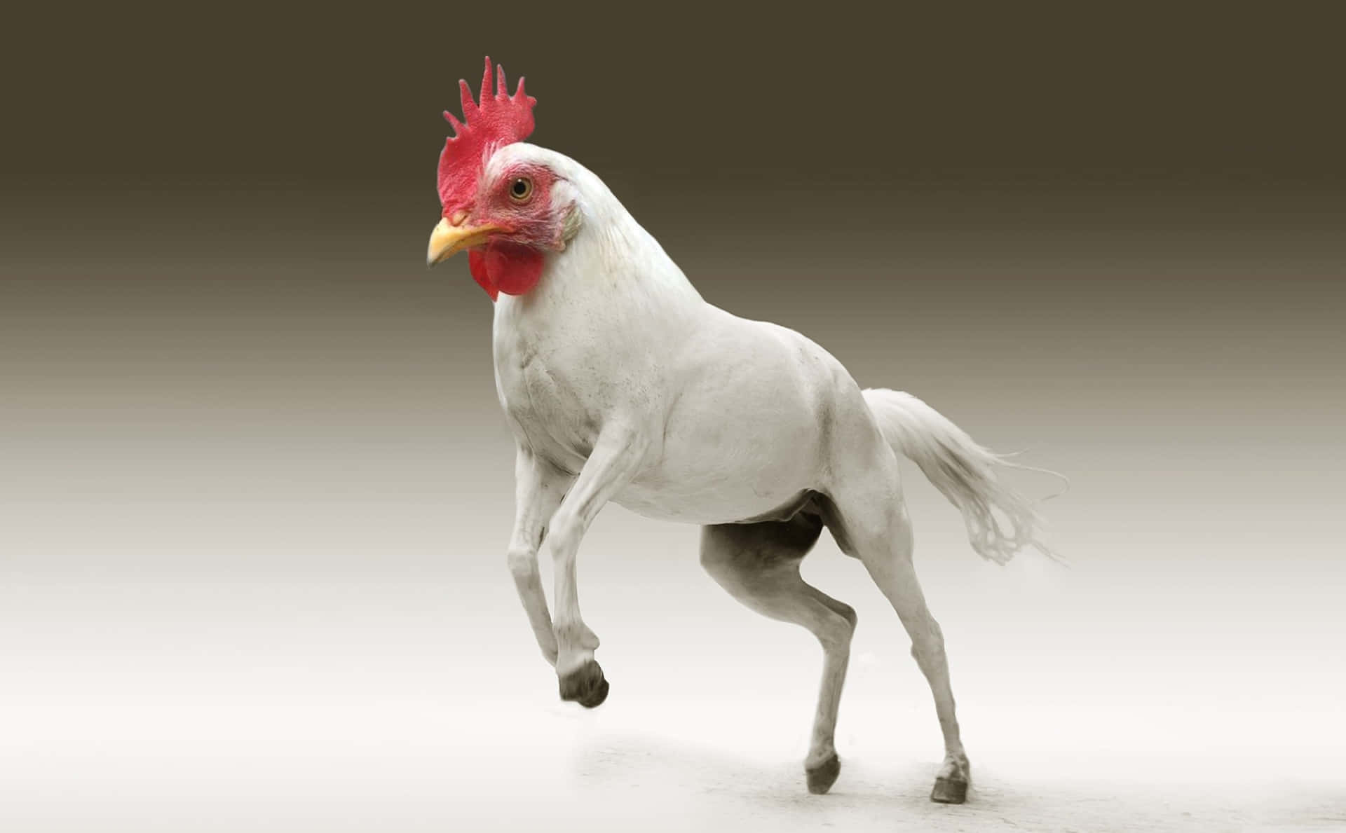 Superwitziges Bild Von Einem Pferd Und Einem Huhn