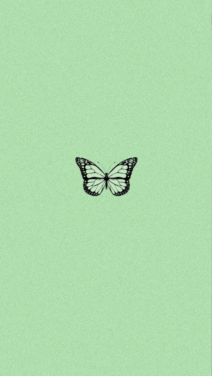 Super Light Green Aesthetic Butterfly Wallpaper