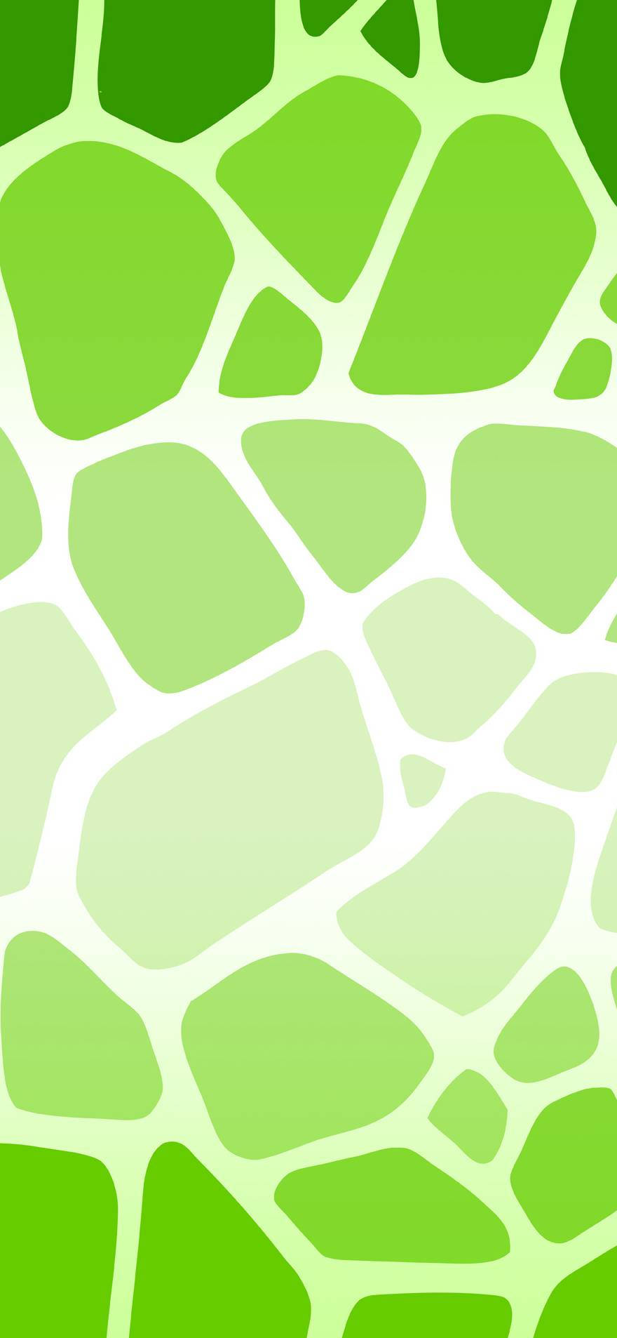 Superleichtesgrünes Kuhmuster Für Das Handy Wallpaper