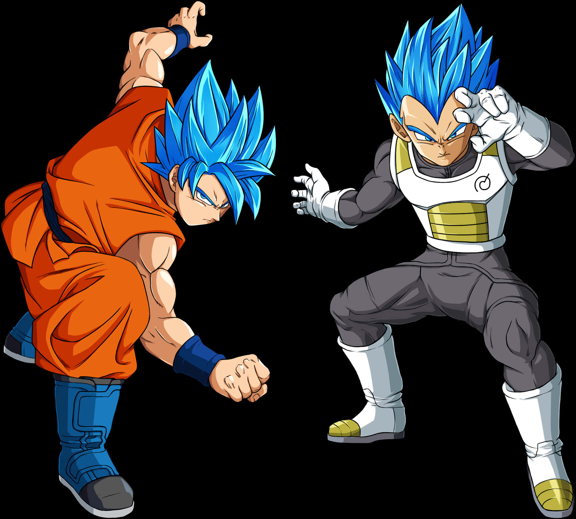 Super Saiyan Blue Gokuand Vegeta PNG