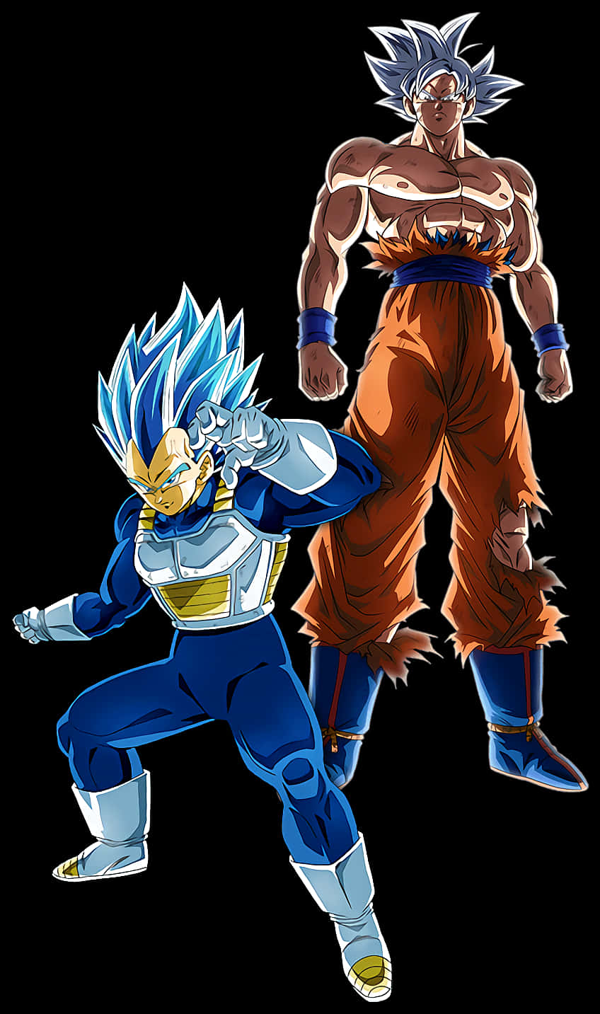 Super Saiyan Blue Vegetaand Ultra Instinct Goku PNG