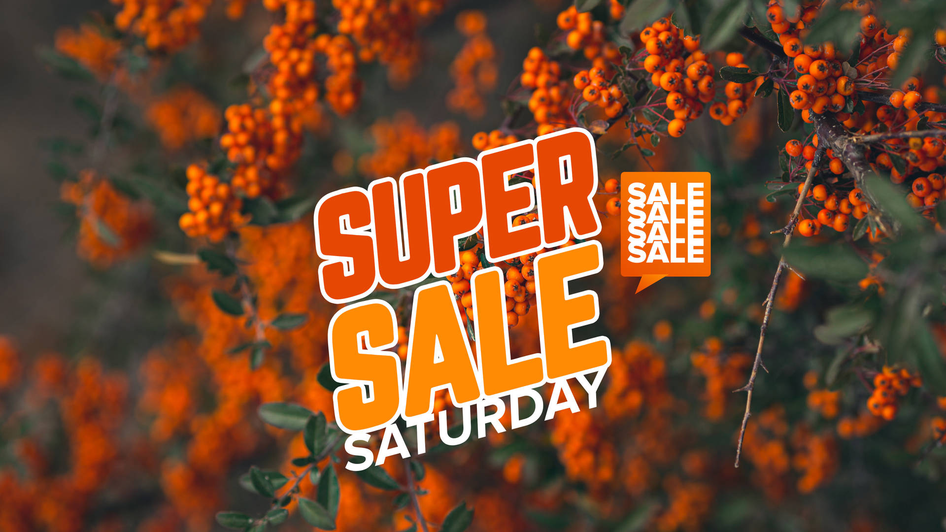 Super Saturday Sale With Rowanberries Wallpaper