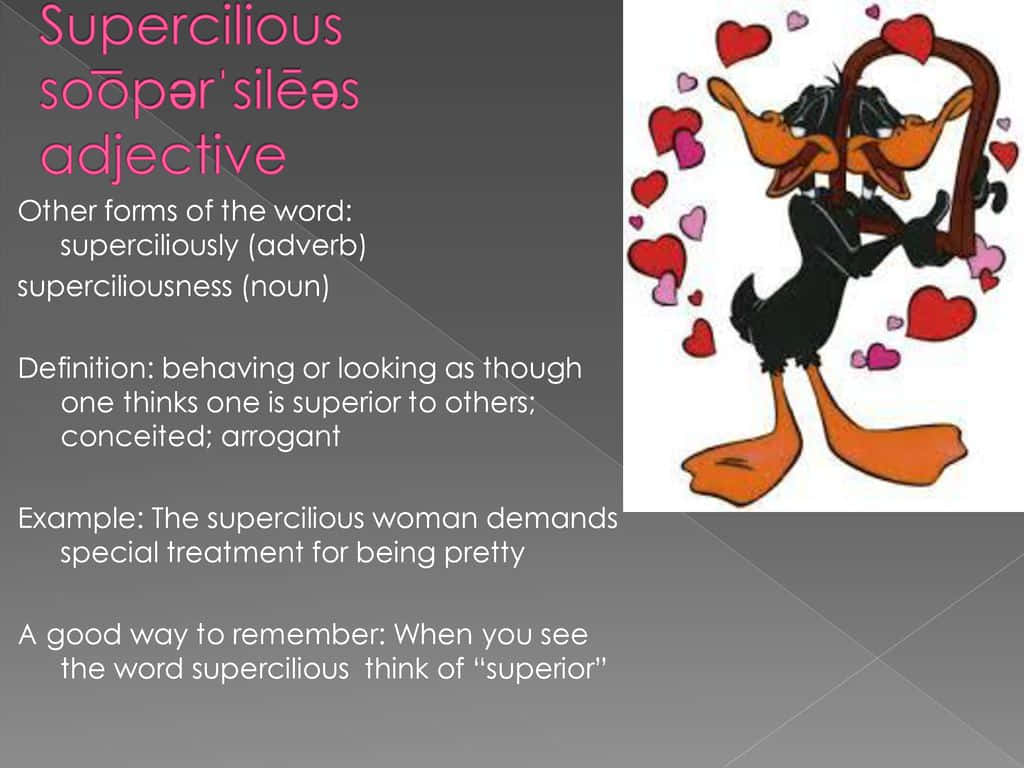 Supercilious Definitions With Daffy Duck Wallpaper