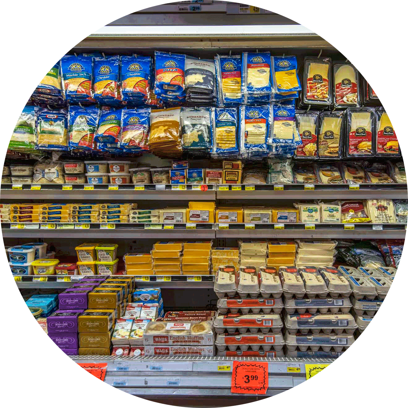 Download Supermarket Cheeseand Dairy Products Aisle